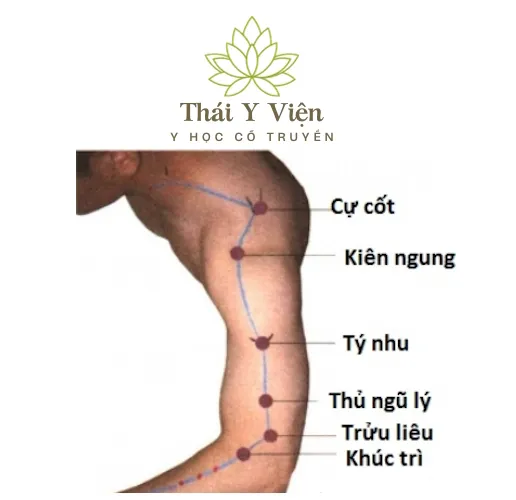 Huyệt Huyệt Khúc Trì