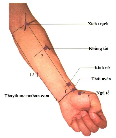 Huyệt Khổng Tối (LU6)