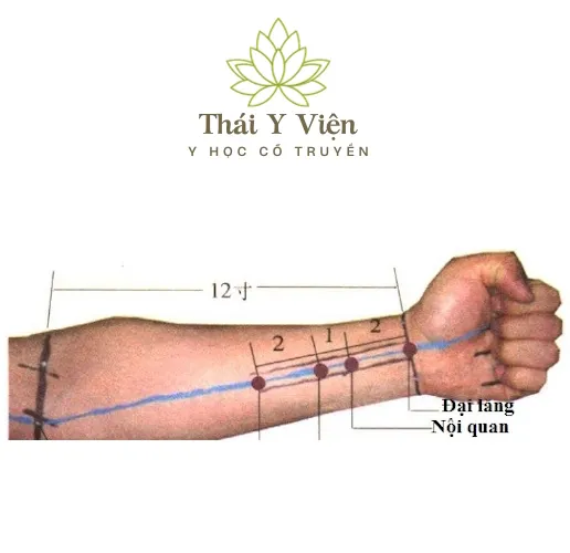 Huyệt Nội Quan (PC6)