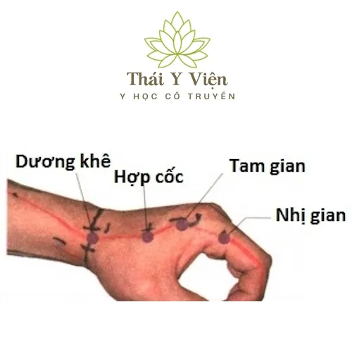 Huyệt Huyệt Hợp Cốc