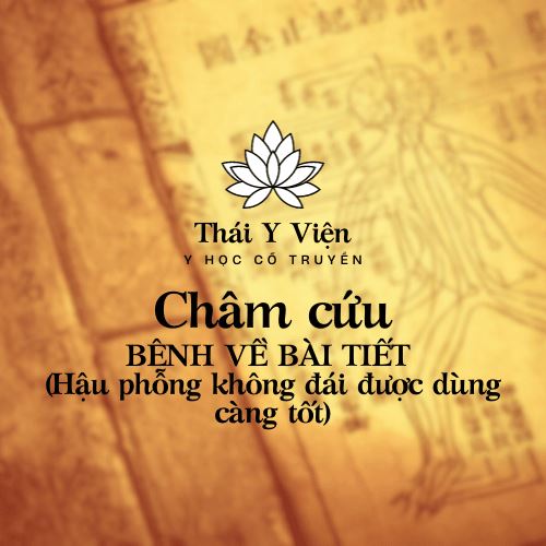 BỆNH VỀ BÀI TIẾT (Hậu phỗng không đái được dùng càng tốt)