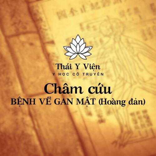 BỆNH VỀ GAN MẬT (Hoàng đản)