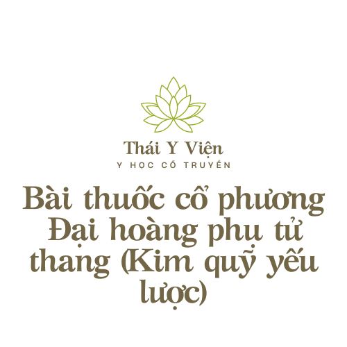 Đại hoàng phụ tử thang (Kim quỹ yếu lược)