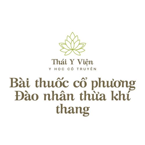 Đào nhân thừa khí thang