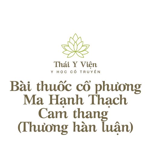 Ma Hạnh Thạch Cam thang (Thương hàn luận)