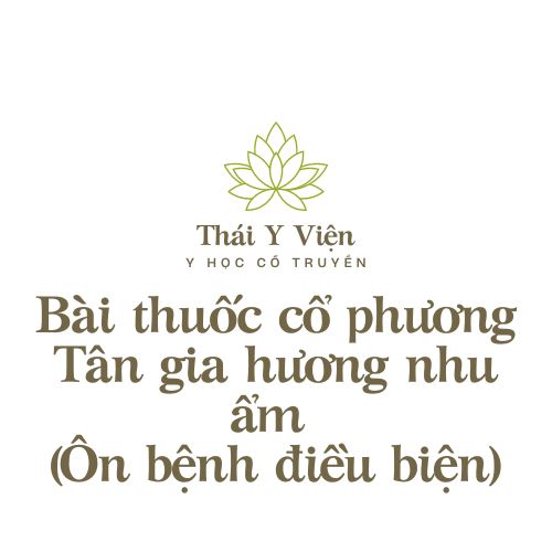 Tân gia hương nhu ẩm (Ôn bệnh điều biện)