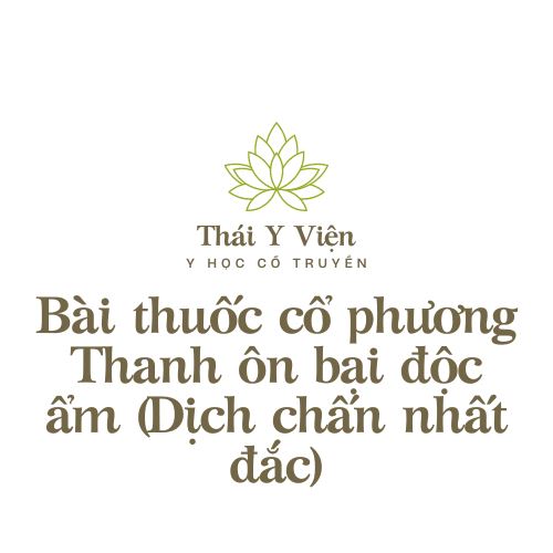 Thanh ôn bại độc ẩm (Dịch chấn nhất đắc)