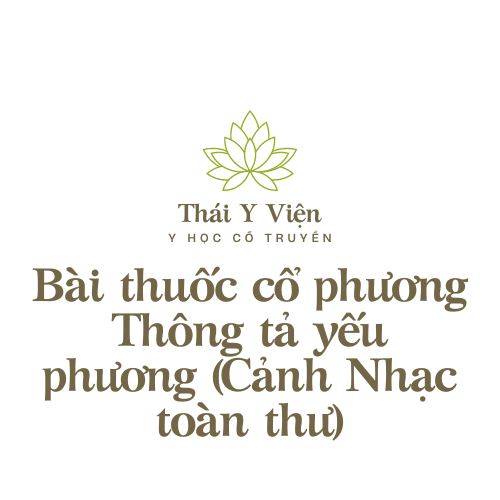 Thông tả yếu phương (Cảnh Nhạc toàn thư)