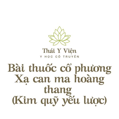 Xạ can ma hoàng thang (Kim quỹ yếu lược)