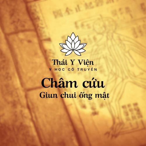 Giun chui ống mật