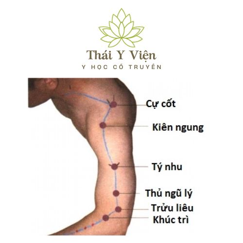 CỰ CỐT