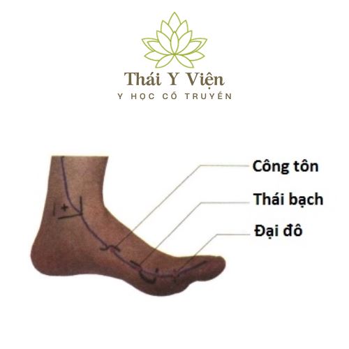 ĐẠI ĐÔ