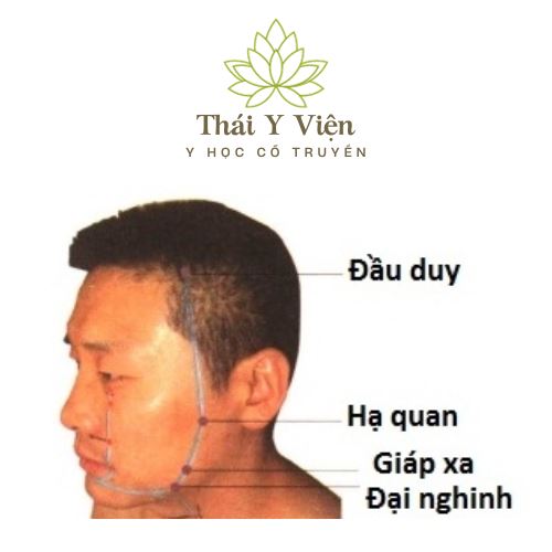 ĐẠI NGHÊNH