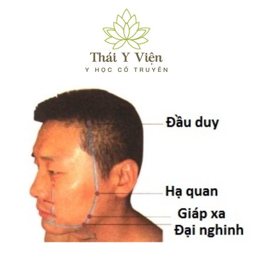 ĐẦU DUY