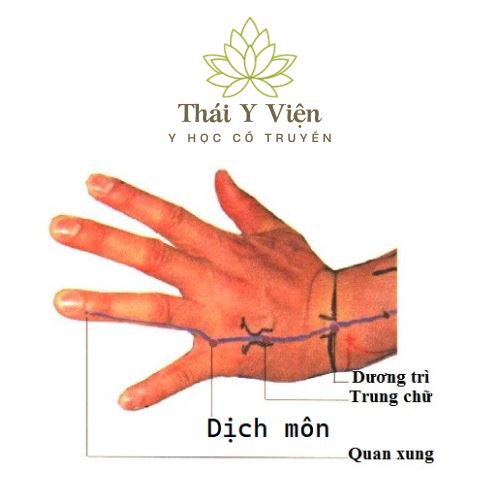 DỊCH MÔN