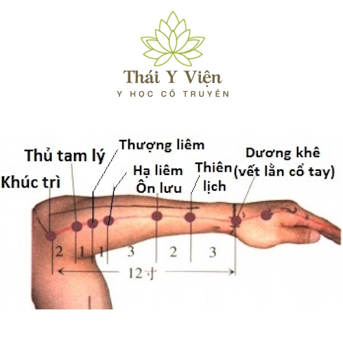 HẠ LIÊM