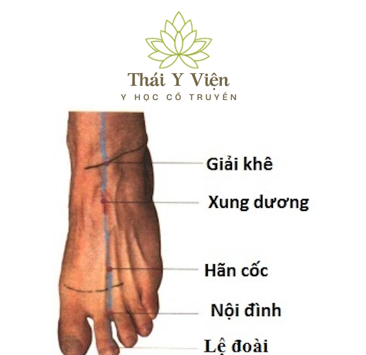 HÃM CỐC