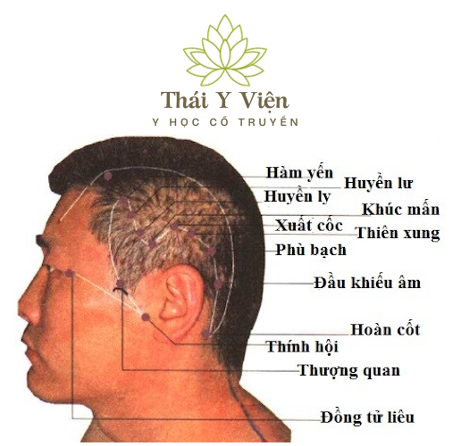 HÀM YẾN