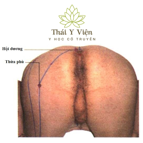 HỘI DƯƠNG