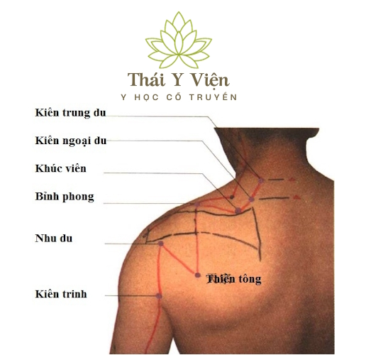 KHÚC VIÊN