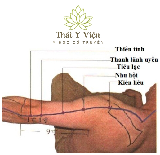 KIÊN LIÊU