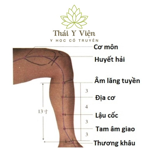 LẬU CỐC