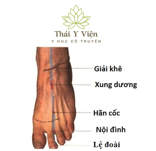 LỆ ĐOÀI