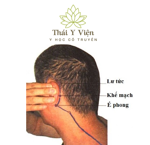 LƯ TỨC