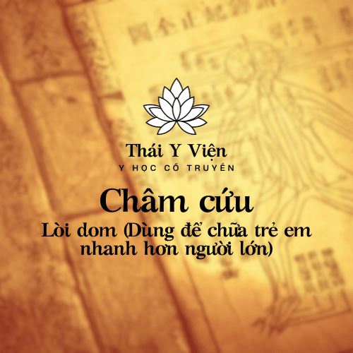 Lòi dom (Dùng để chữa trẻ em nhanh hơn người lớn)