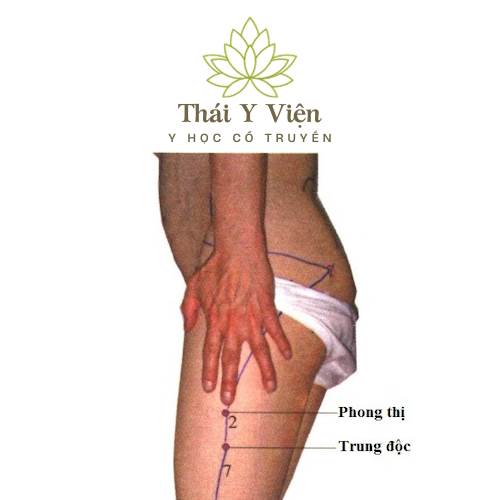 PHONG THỊ