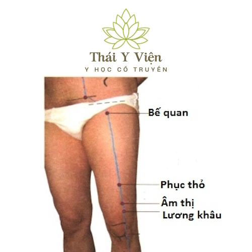 PHỤC THỐ