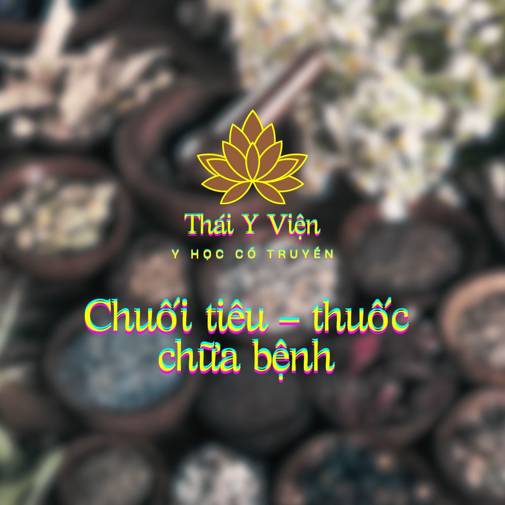 CHUỐI TIÊU – thuốc chữa bệnh